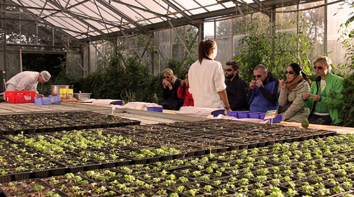 GoutOdorat portfolio warmfilter-IMG 3945