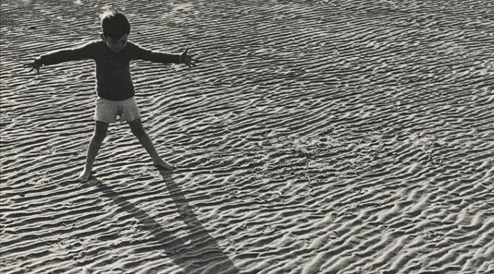 750x425 5-toni-frissell