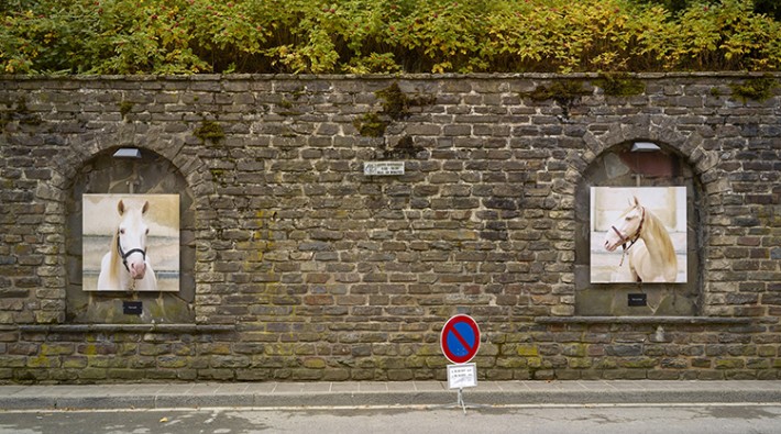 750x425 installations171004-07-web