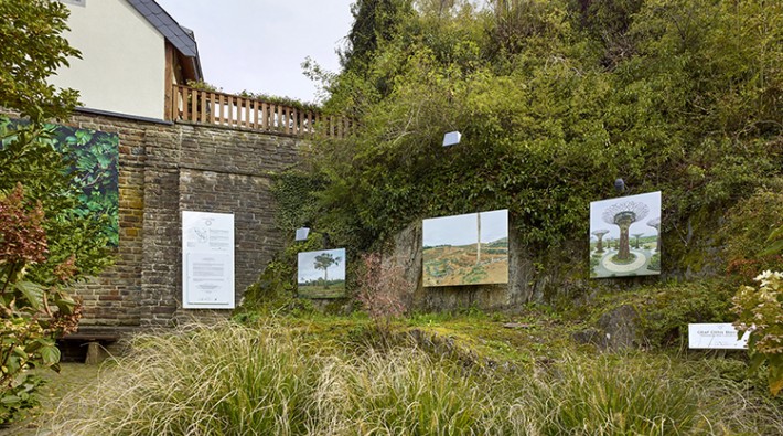 750x425 installations171004-36-web