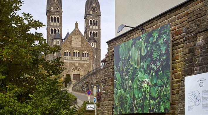 750x425 installations171004-35-web