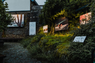 TCC TheRoadAbroad Cité de l'image 2021 (3)