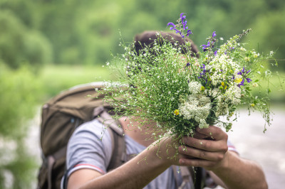 man-hike-holds-bouquet-wildflowers