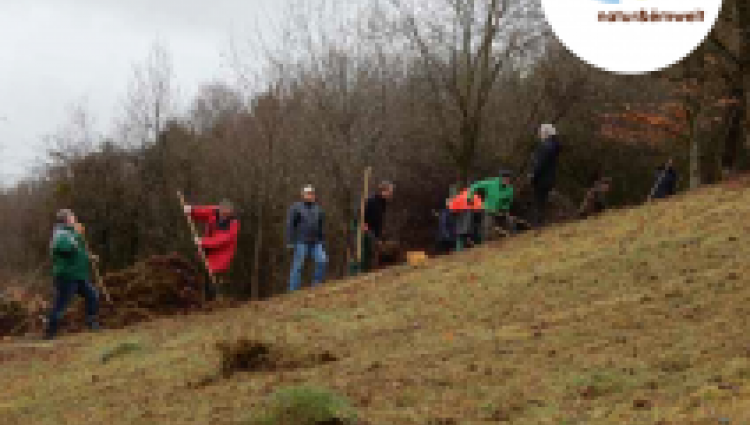 Unterhaltsarbeiten an der Kalborner Mühle - IMG 1