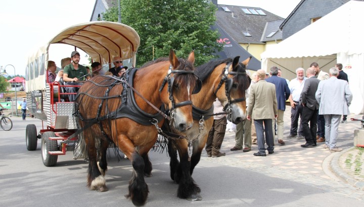 Dag vum Ardennerpäerd - IMG 4