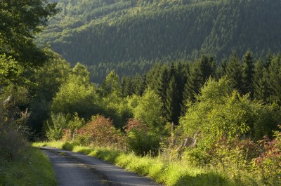 RS2970 Pierre Haas-scr