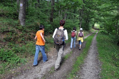 RS7470 Joëlle Mathias-scr