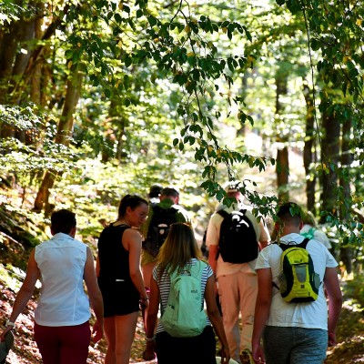 Le groupe qui s'enfonce dans la forêt