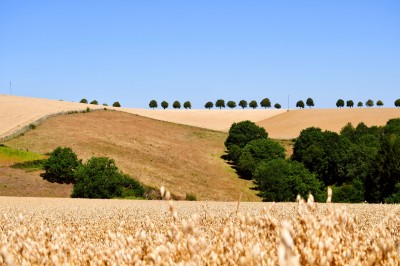 Les paysages autour de Heinerscheid