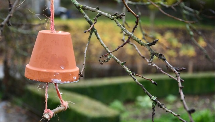 Paniers de l'Avent - Adventskorb - IMG 5