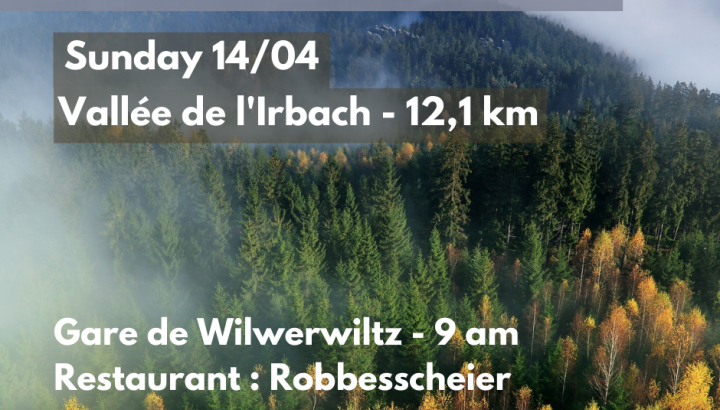 Hiking meets local food  - IMG 2