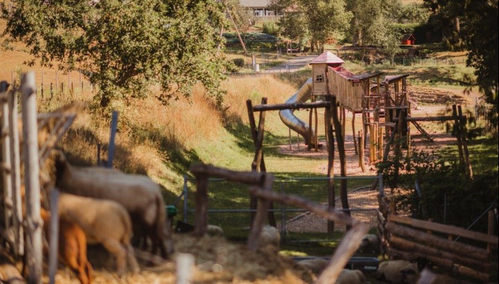 Pâques au jardin - IMG 2