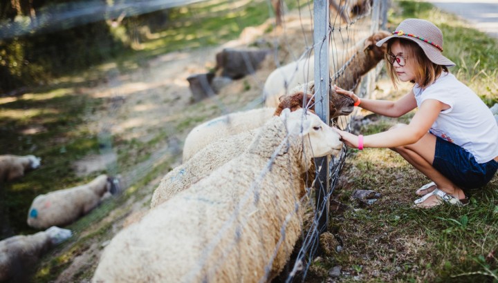 Pâques au jardin - IMG 3