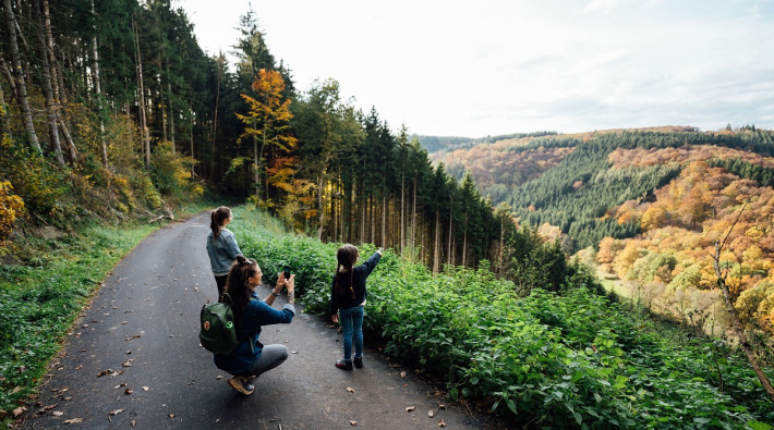 Forêt de Poler_Vincent Frasiak