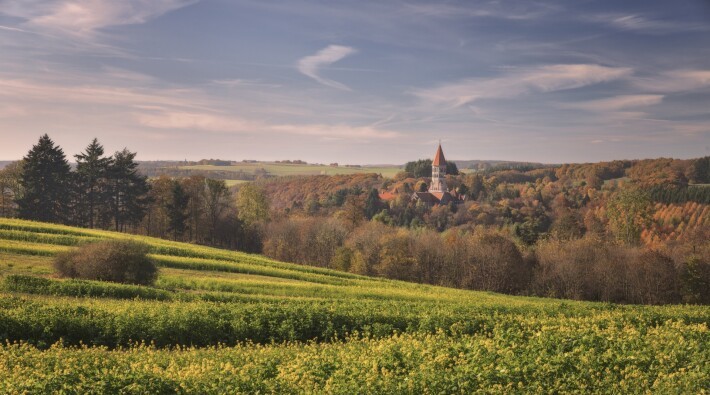 Autumn Abbey ClervauxÂ©LFT AlfonsoSalgueiro