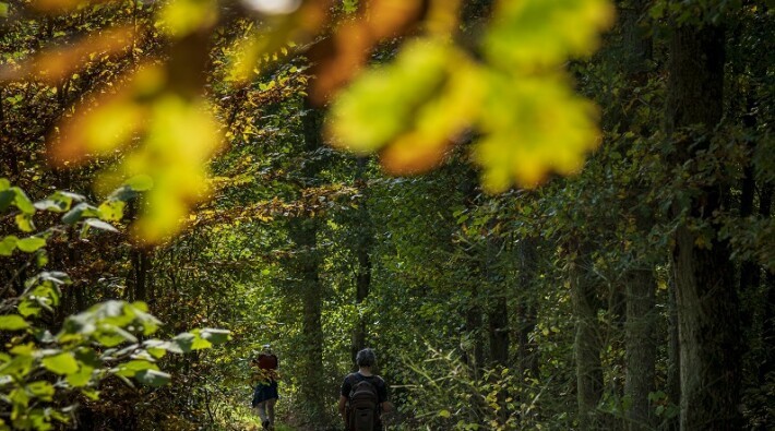 LeeTrail 36Â©LFT AlfonsoSalgueiro