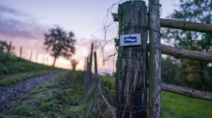 LeeTrail 2Â©LFT AlfonsoSalgueiro