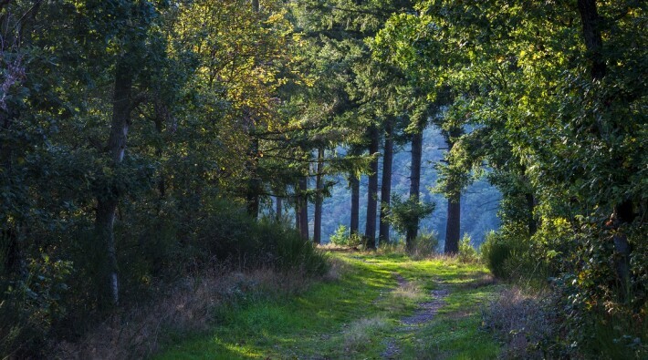 LeeTrail 51Â©LFT AlfonsoSalgueiro