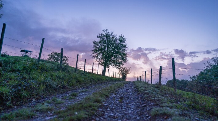 LeeTrail 3Â©LFT AlfonsoSalgueiro